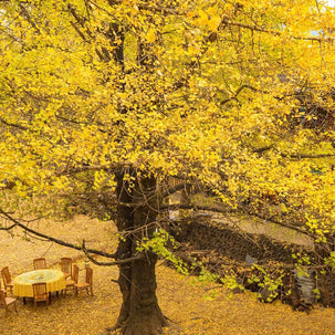 7 Days Shangri-La Nujiang Tengchong Tour