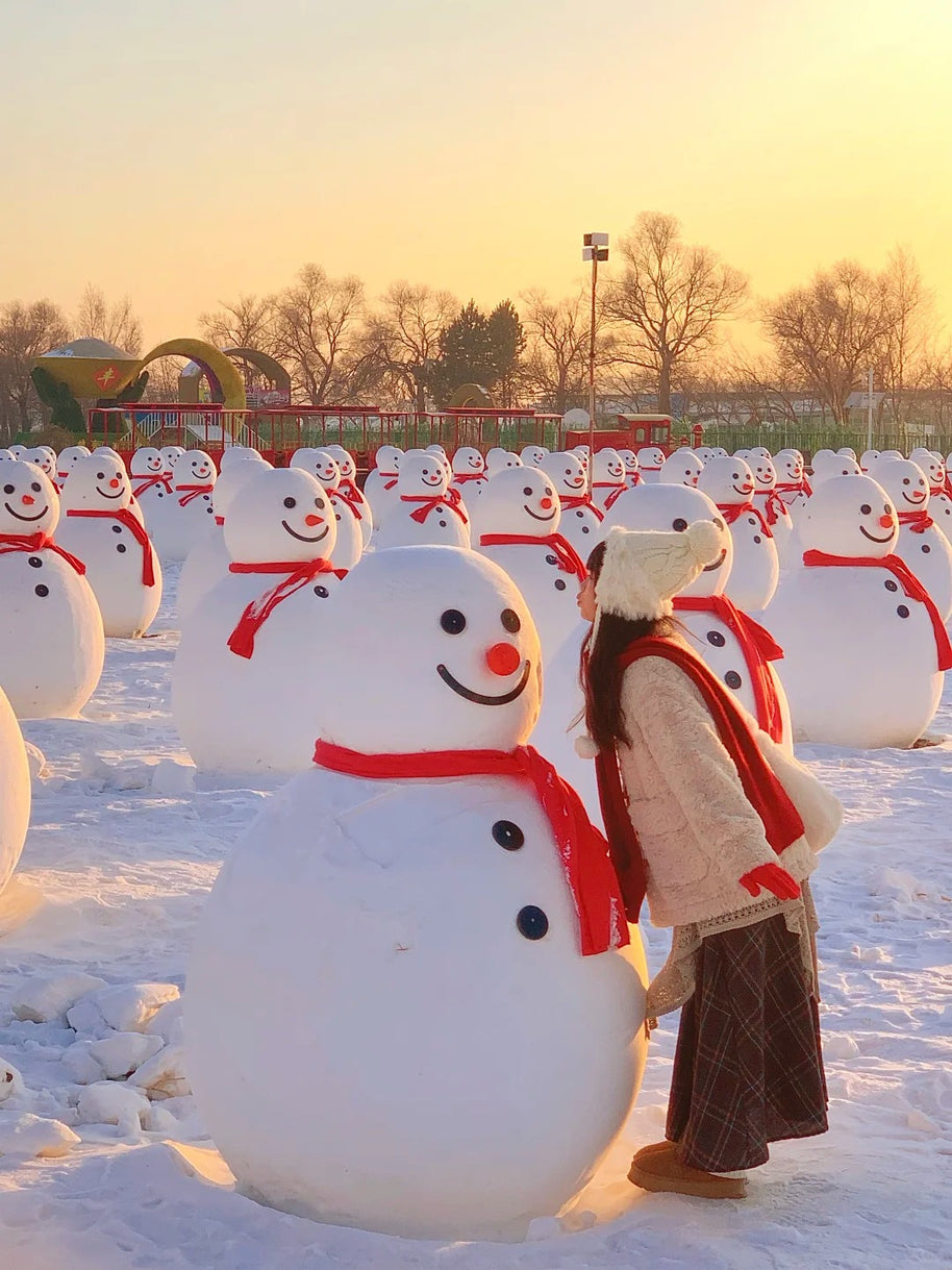 7 Days Harbin Winter Tour