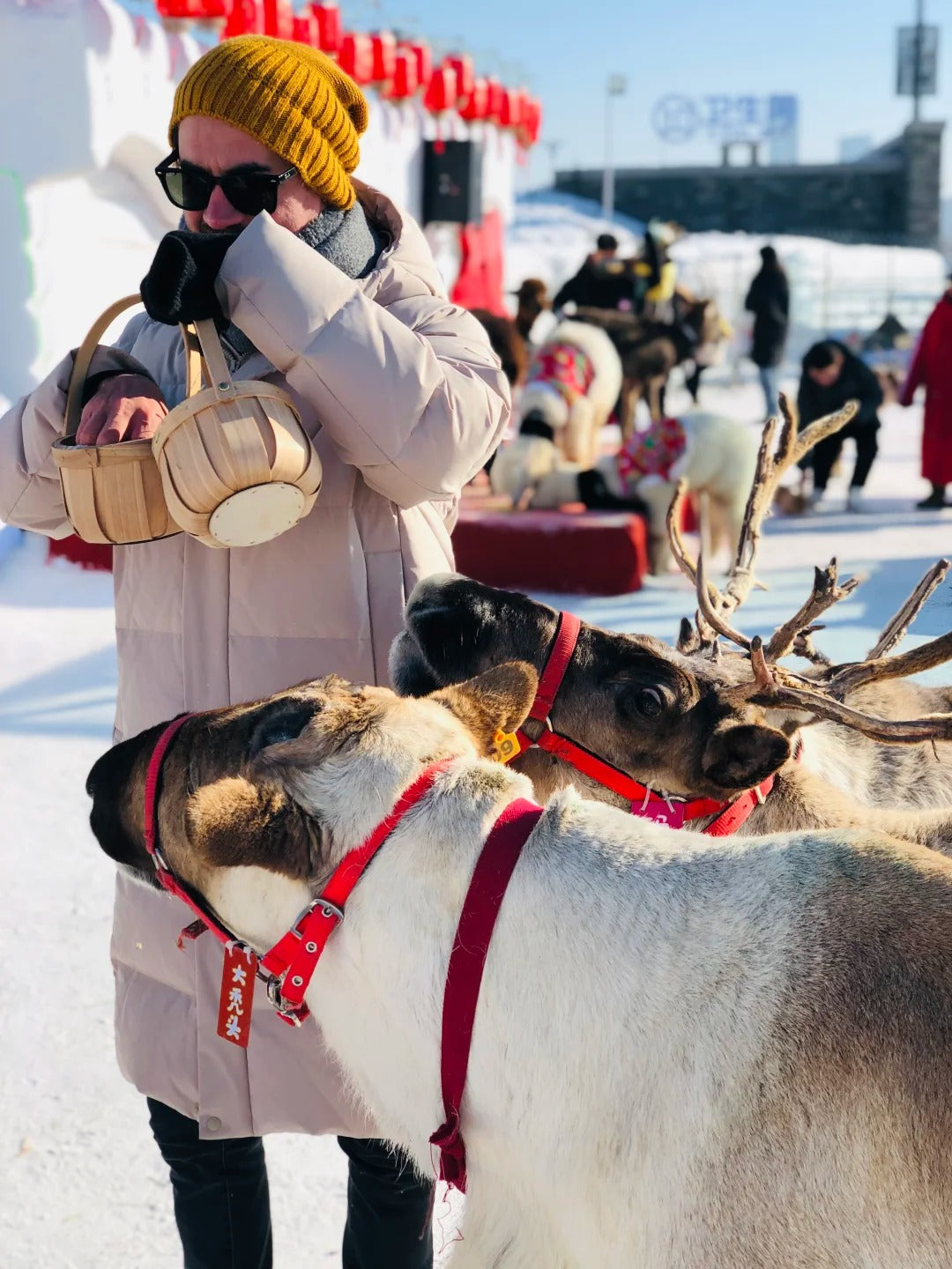 6 Days Harbin Winter Tour