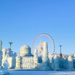 5 Days Harbin Winter Tour