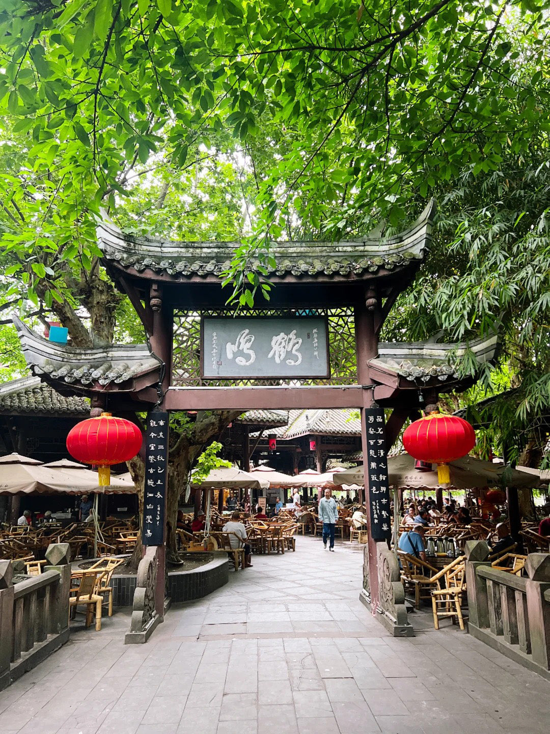 Tour de 5 días por Chengdu