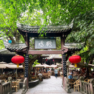 Tour de 5 días por Chengdu