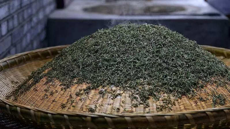 Hongqing Tea (Baked Green Tea)