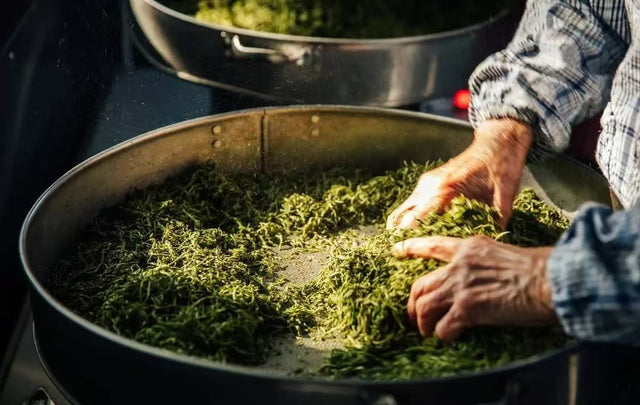 Hongqing Tea (Baked Green Tea)