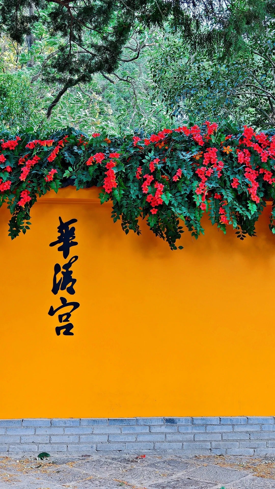 5 Days Xi'an Tour
