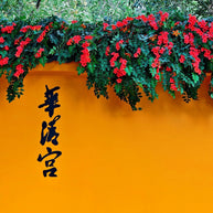 5 Days Xi'an Tour