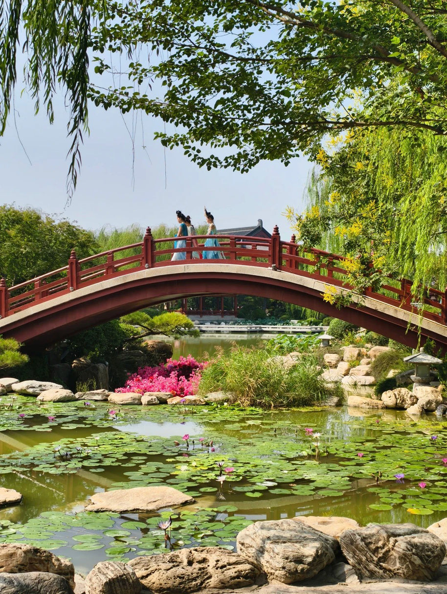 5 Days Xi'an Tour