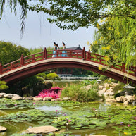 5 Days Xi'an Tour