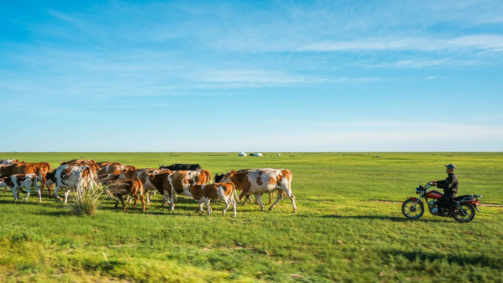 7 Days Hulunbuir Light Hiking and Nature Discovery Tour