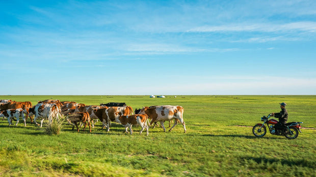 7 Days Hulunbuir Light Hiking and Nature Discovery Tour
