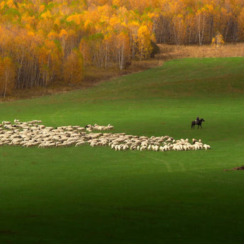 7 Days Hulunbuir Light Hiking and Nature Discovery Tour