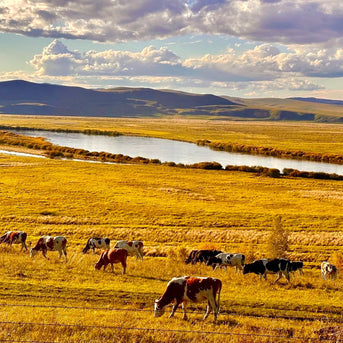 7 Days Hulunbuir Light Hiking and Nature Discovery Tour