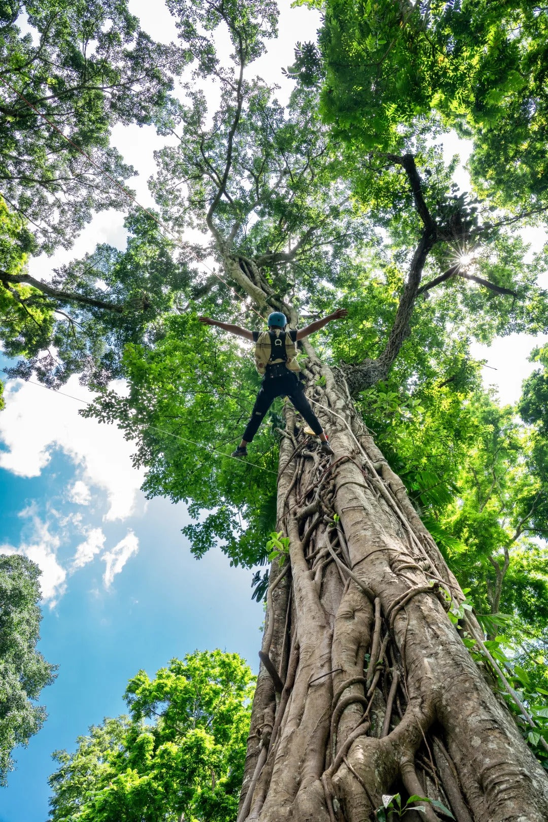 1 Day Jinuo Mountain Rainforest Hiking Tour