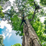 1 Day Jinuo Mountain Rainforest Hiking Tour