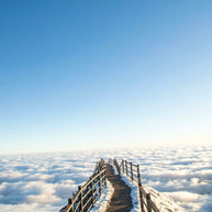 1 Day Kunming Jiaozi Snow Mountain Tour