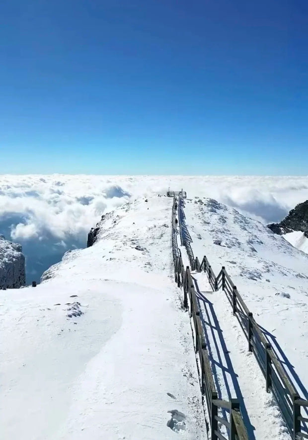 1 Day Kunming Jiaozi Snow Mountain Tour