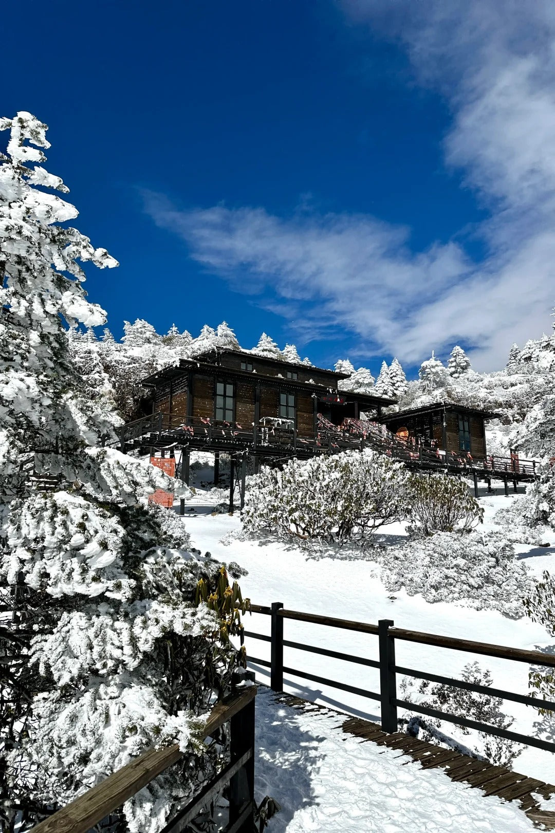 1 Day Kunming Jiaozi Snow Mountain Tour
