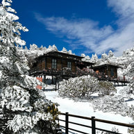 1 Day Kunming Jiaozi Snow Mountain Tour