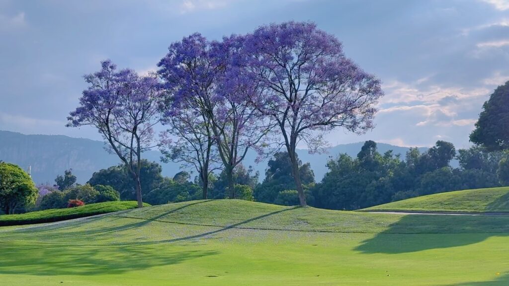 5 Days Yunnan Golf Tour