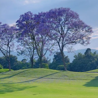 5 Days Yunnan Golf Tour