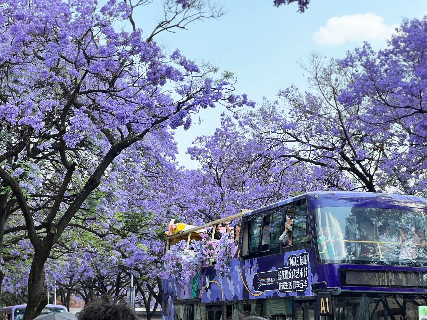 8 Days Kunming Dali Lijiang Shangri-La and Lugu Lake Tour (from and to Kunming)