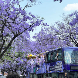 8 Days Kunming Dali Lijiang Shangri-La and Lugu Lake Tour (from and to Kunming)