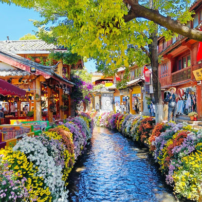 12 Days Dali Lijiang Shangri-La Tour