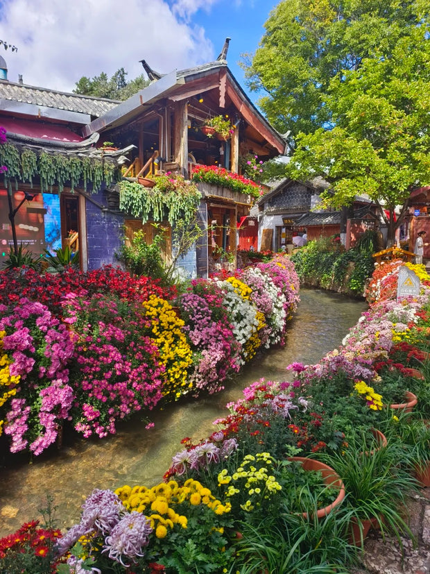 8 Days Dali Lijiang Shangri-La Tour (from and to Dali)