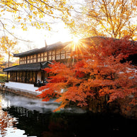 4 Days Shanghai Suzhou Hangzhou Wuzhen Tour