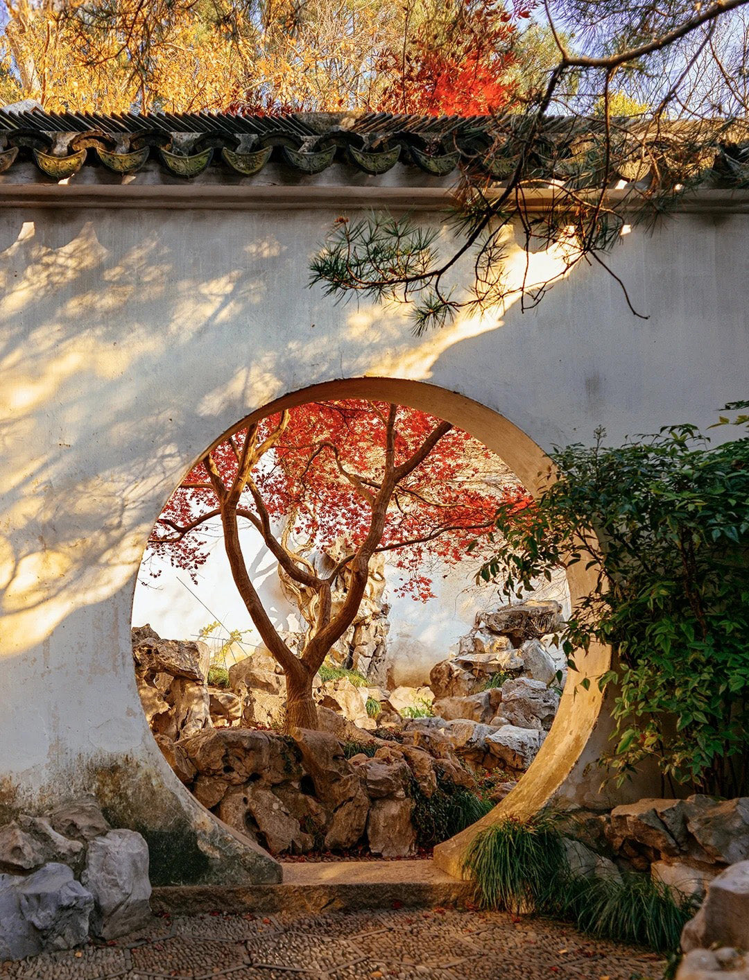 4 Days Shanghai Suzhou Hangzhou Wuzhen Tour