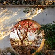 4 Days Shanghai Suzhou Hangzhou Wuzhen Tour