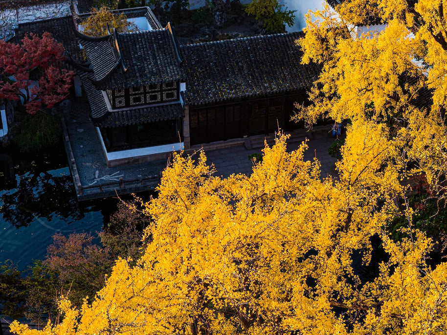 4 Days Shanghai Suzhou Hangzhou Wuzhen Tour