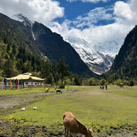 5 Days Yubeng Village Trekking Tour: Meili Snow Mountain Adventure from Lijiang