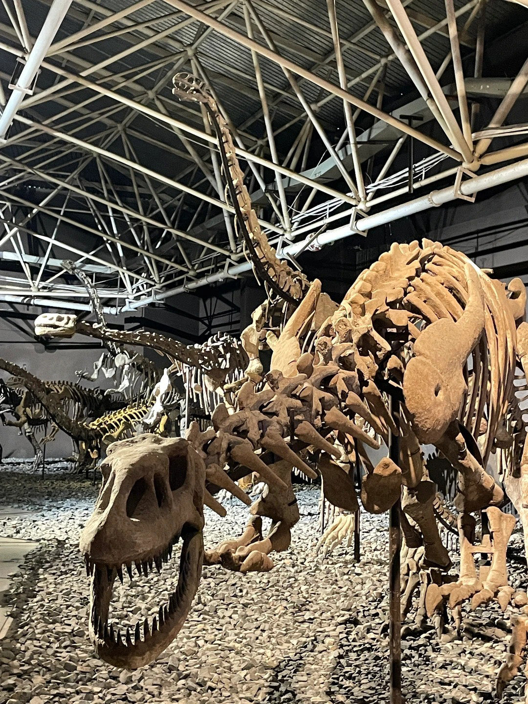 14 Days Yunnan Golf Tour