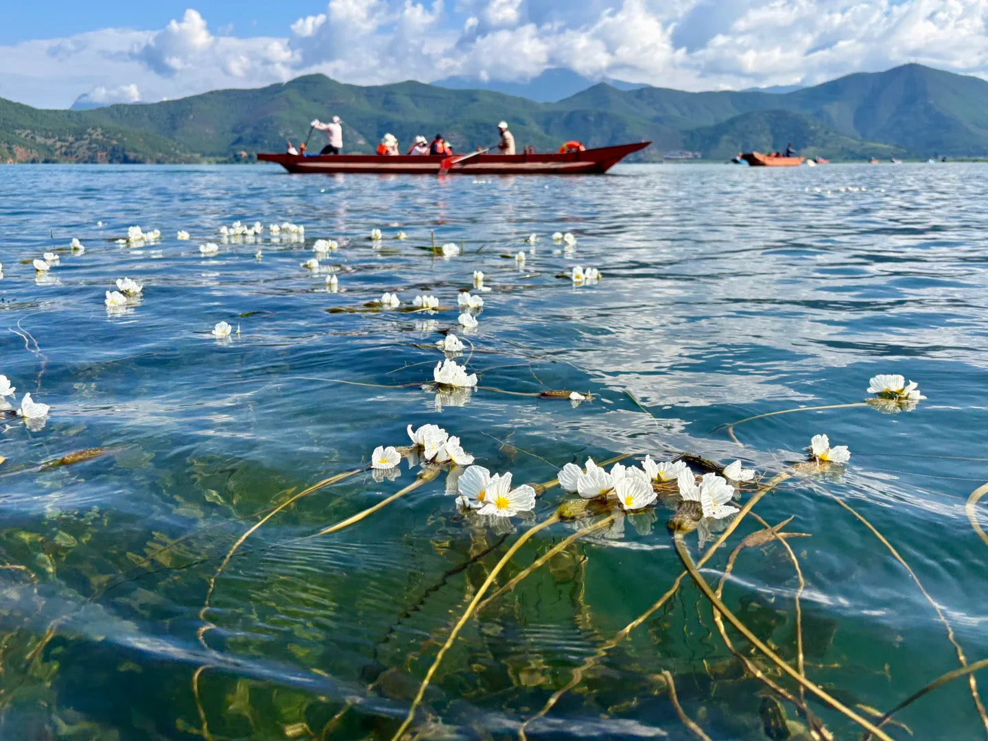 Tour de 6 días por Lijiang Shangri-La Daocheng y el lago Lugu