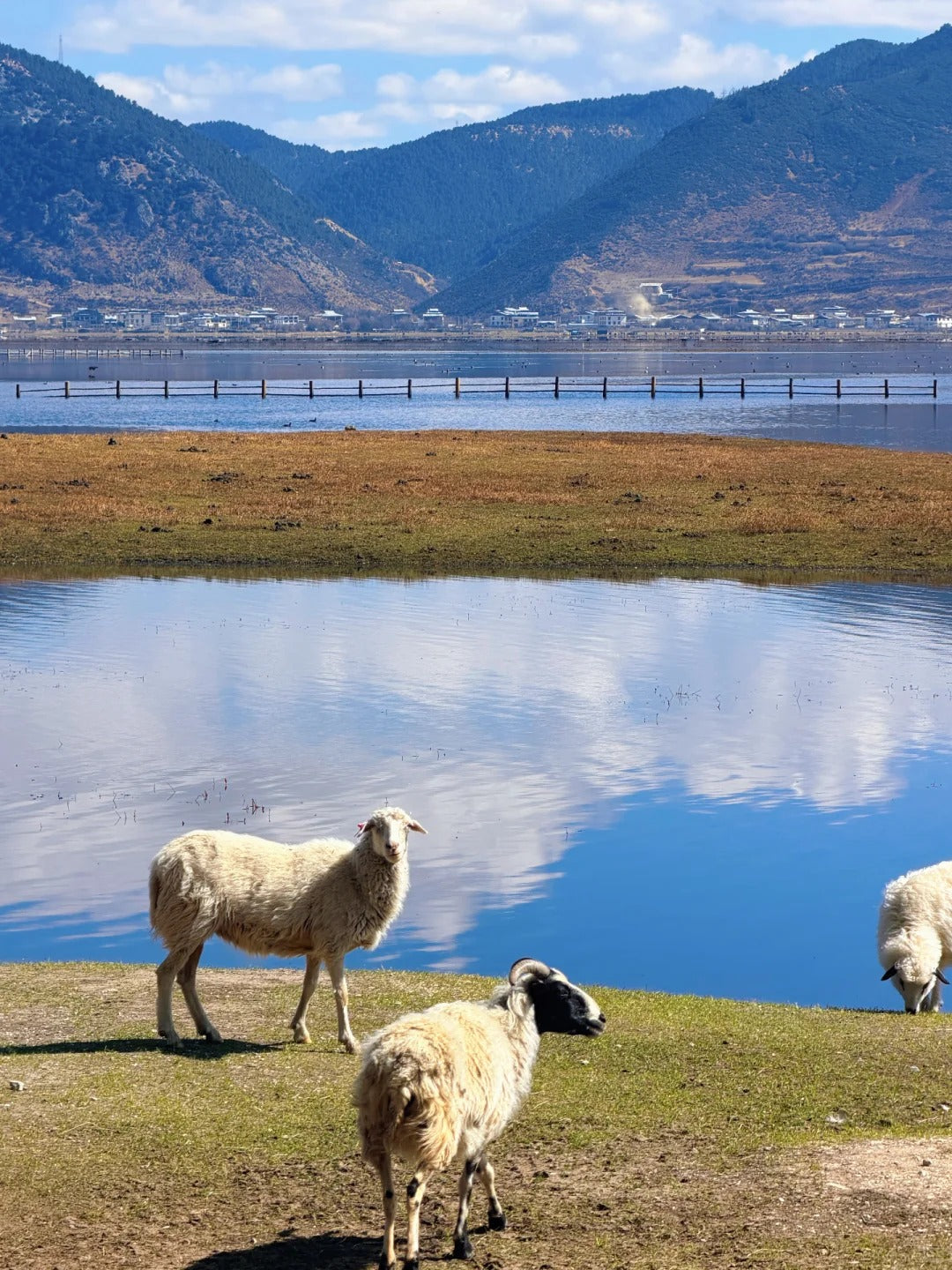 5 Days Yubeng Village Trekking Tour: Meili Snow Mountain Adventure from Lijiang