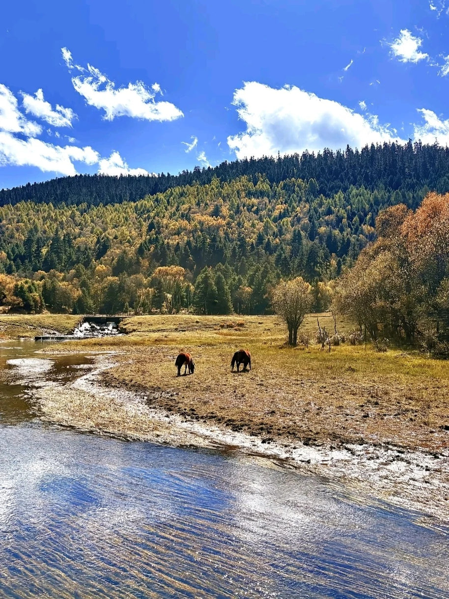 8 Days Lijiang Dali Shangri-La Tour