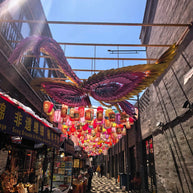 17 Days Beijing Shanghai Suzhou Wuzhen Lijiang Tour