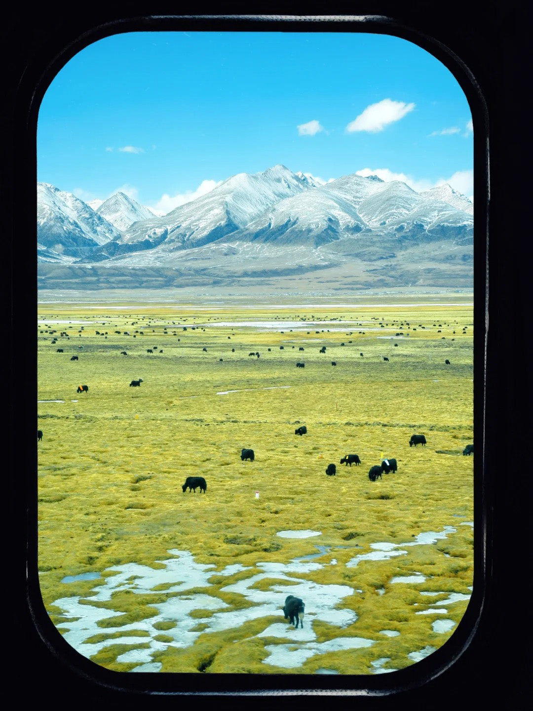 20 Days Yunnan Lhasa Xining Xi'an Tour