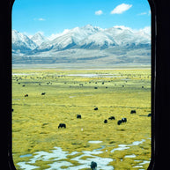 20 Days Yunnan Lhasa Xining Xi'an Tour