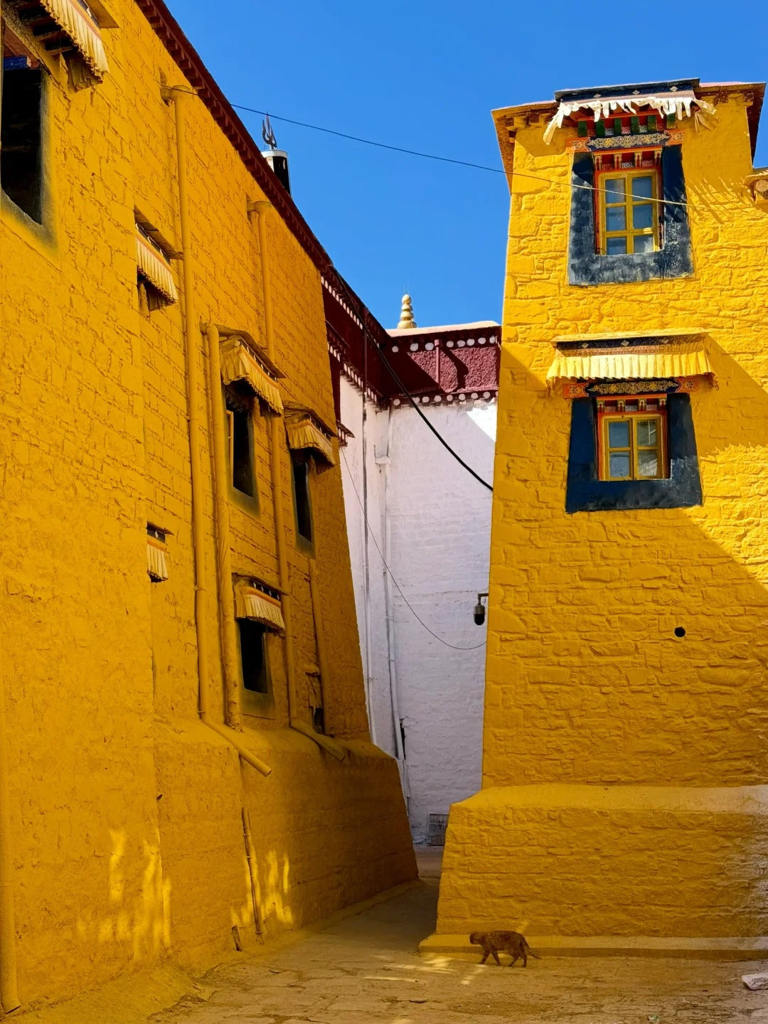 4 Days Lhasa City Tour