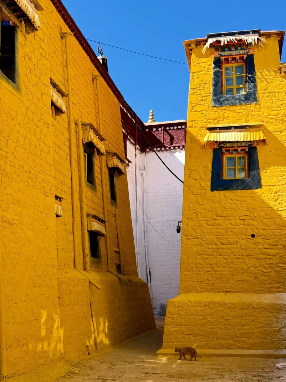 4 Days Lhasa City Tour