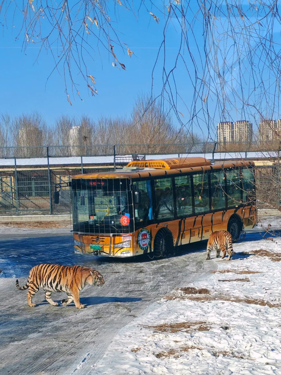 7 Days Beijing Harbin Winter Tour