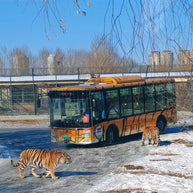 7 Days Beijing Harbin Winter Tour
