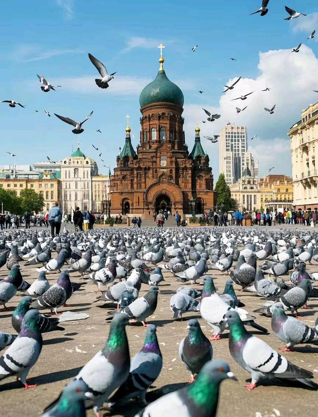 7 Days Beijing Harbin Winter Tour