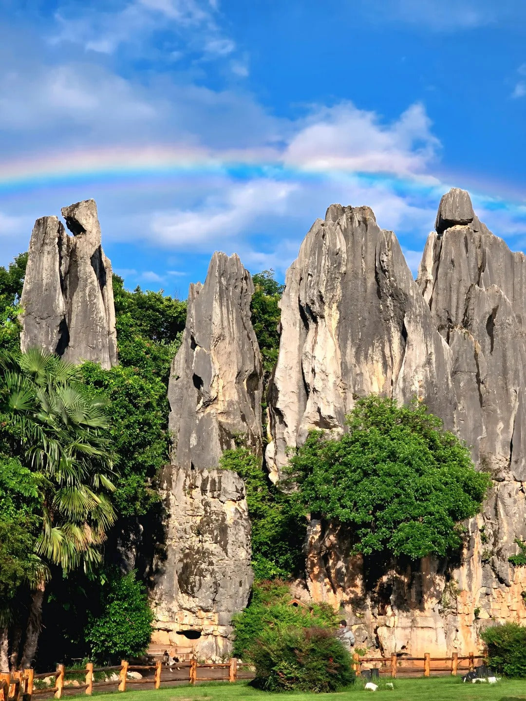 1 Day Stone Forest Tour