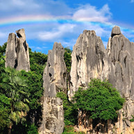 1 Day Stone Forest Tour