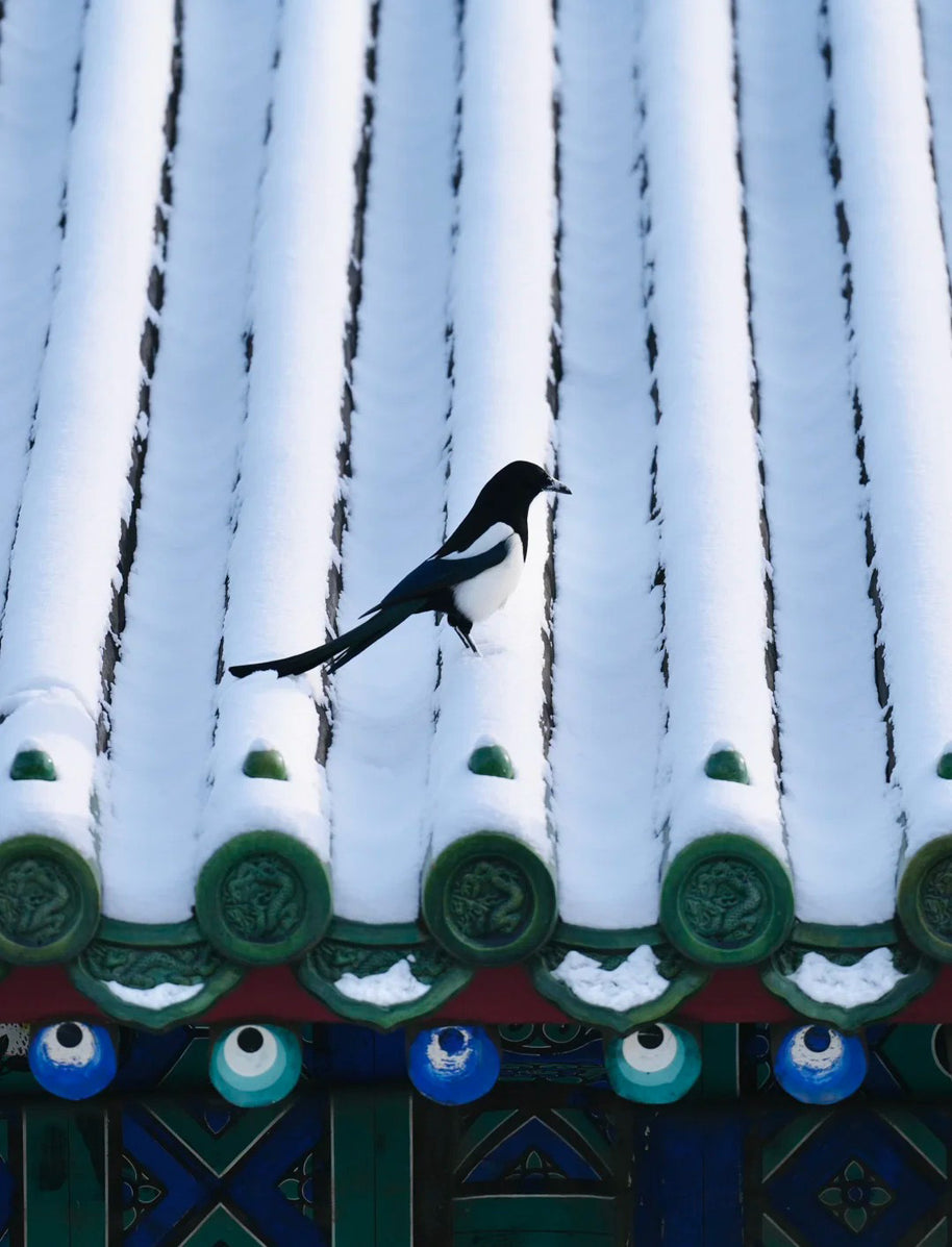 7 Days Beijing Harbin Winter Tour