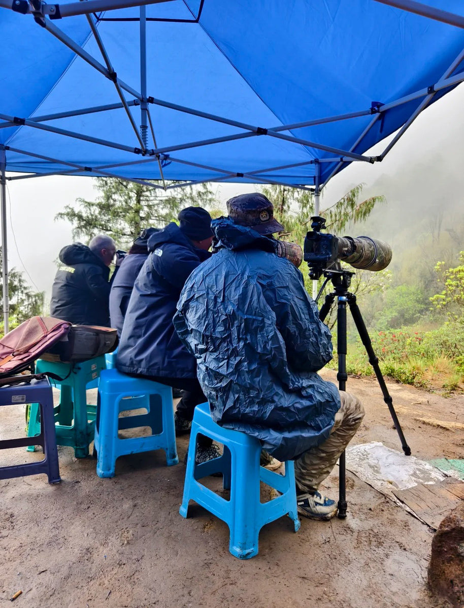 10 Days Tengchong Birding Tour