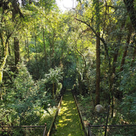 10 Days Tengchong Birding Tour